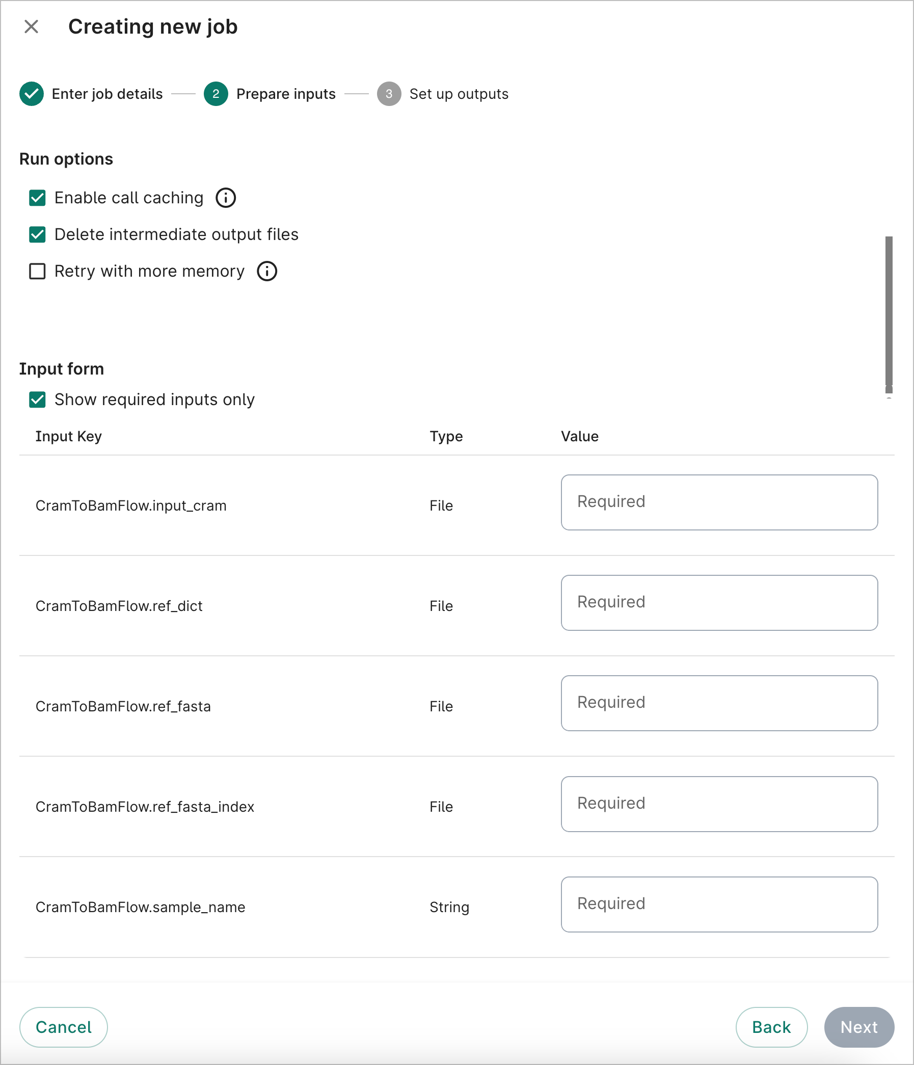 Screenshot of Prepare inputs dialog showing run options and input form, the second step when creating a new job.